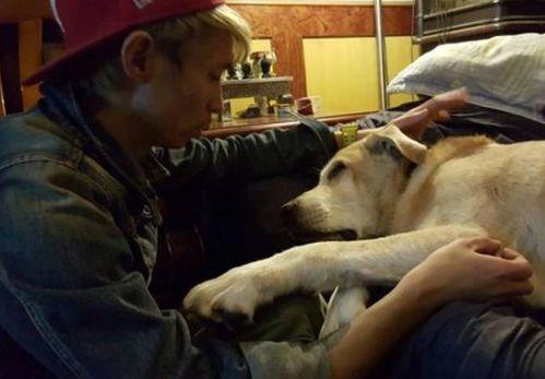 抖音国产 第5页