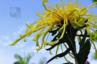 抖音国产 第4页